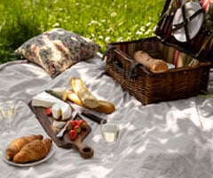 Piknikki