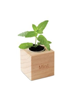 Pote de jardinagem de menta com sementes de menta de vários materiais para personalizar vista 2