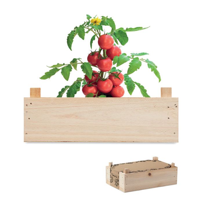 PARADAJKA Minizáhradné paradajky v krabici