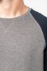 Tofarvet sweatshirt i økologisk bomuld Raglanærmer med rund hals til mænd Lange ærmer