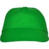 Cappellini personalizzati roly basica cotone verde felce immagine 1