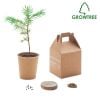 GROWTREE™ Set vyrobený z borovice