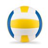 VOLLEY-Volleyball