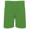 Pantalons tècnics roly dortmund de polièster verd falguera vista 1